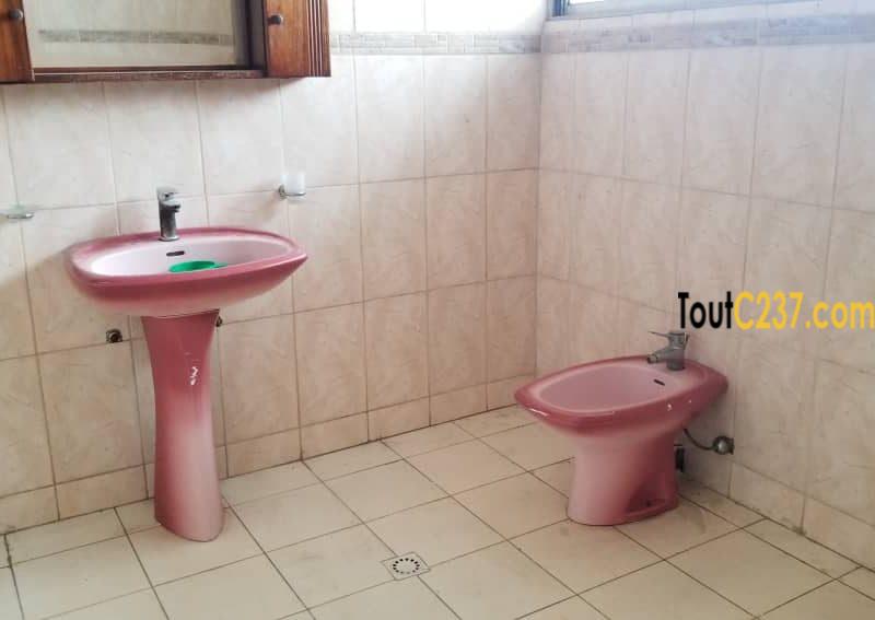 Vaste appartement à louer à Bonamoussadi