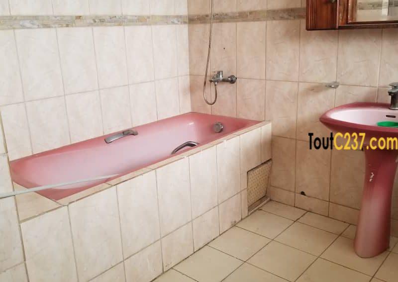 Vaste appartement à louer à Bonamoussadi