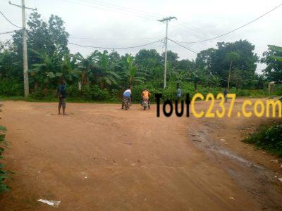 Vente Terrains d'angle à Yassa Nkolbong - Douala