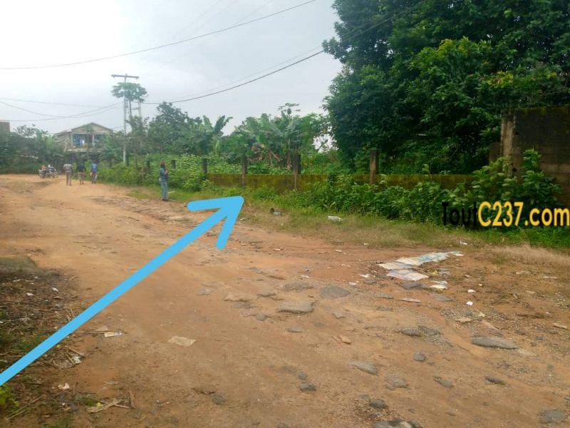 Vente Terrains d'angle à Yassa Nkolbong - Douala