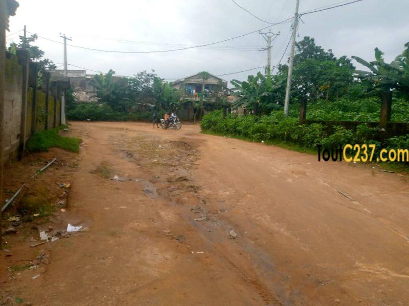 Vente Terrains d'angle à Yassa Nkolbong - Douala