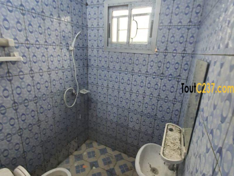 Appartement Neuf à louer a Bonamoussadi