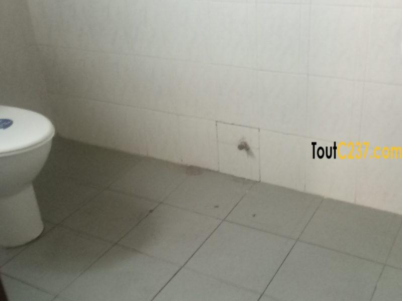 Appartement à louer à Makepe Douala