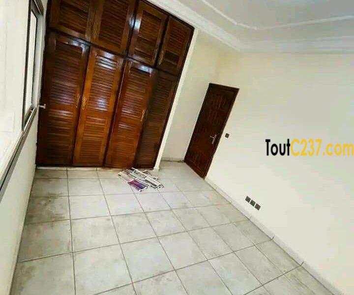 Studio Neuf à louer à Akwa Douala