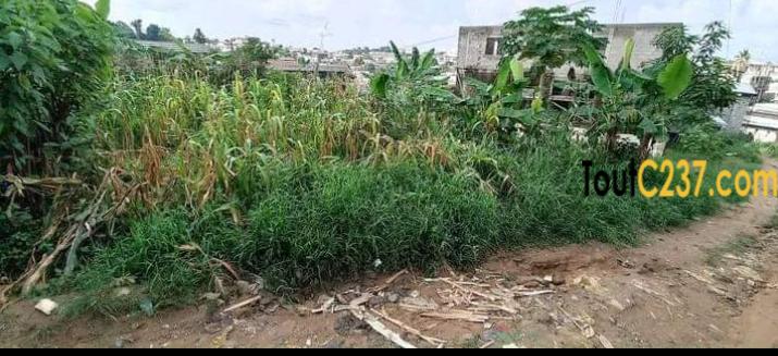 Terrain a vendre a Beedi Douala