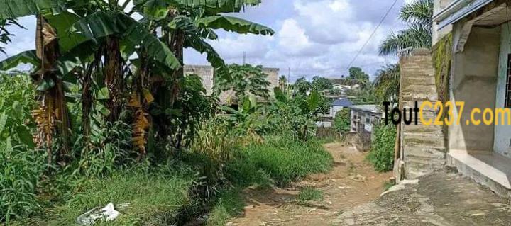Terrain a vendre a Beedi Douala