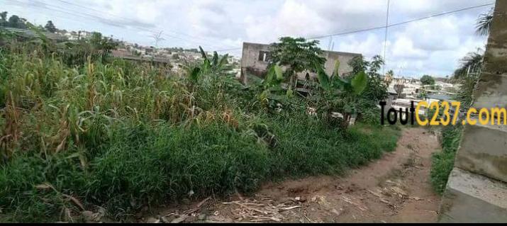 Terrain a vendre a Beedi Douala