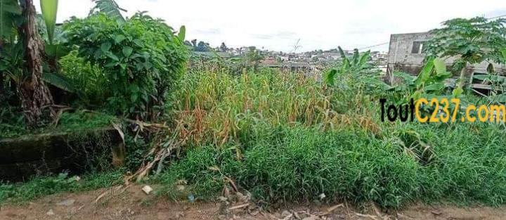 Terrain a vendre a Beedi Douala