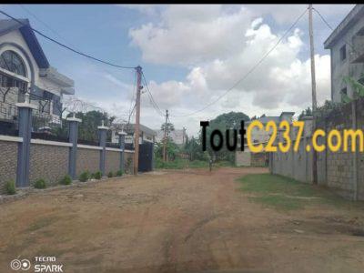 Terrain à vendre a Logpom chefferie