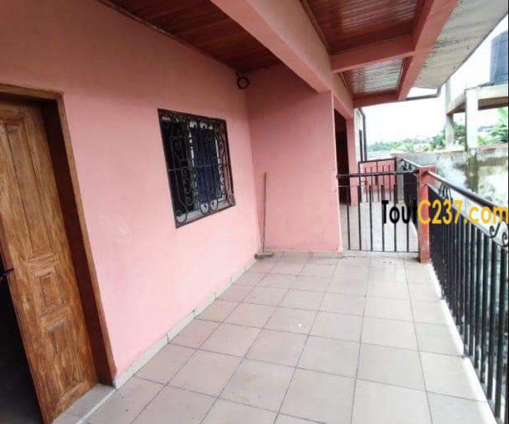 Appartement à louer a Kotto Douala