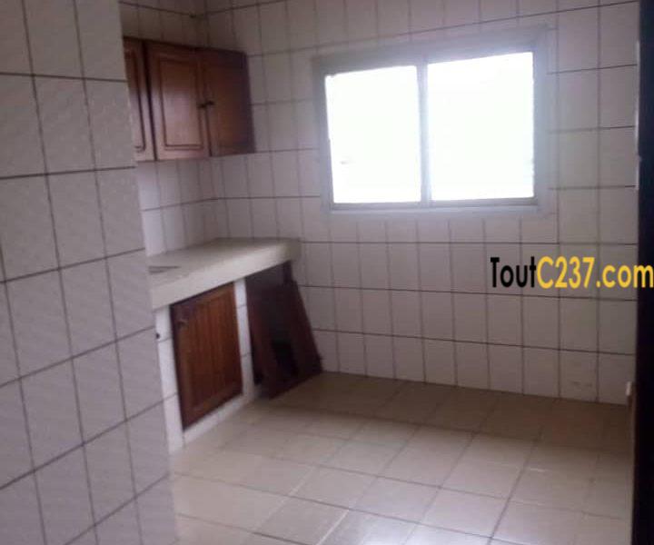 Grand Appartement à louer à Kotto Douala
