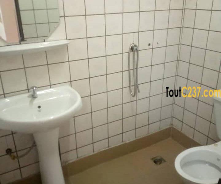 Grand Appartement à louer à Kotto Douala