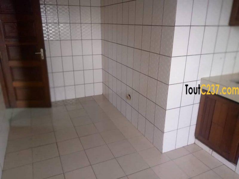 Grand Appartement à louer à Kotto Douala