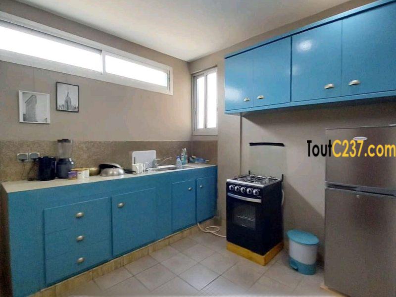 Somptueux appartement à louer à Bonapriso