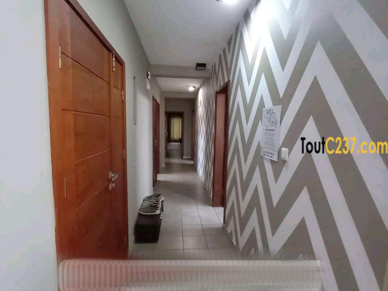 Somptueux appartement à louer à Bonapriso