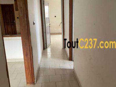 Appartement à louer à Kotto Douala