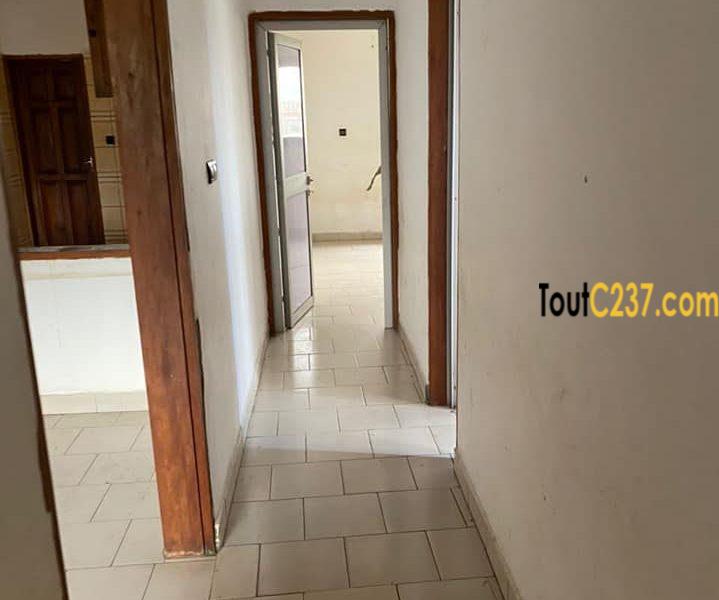 Appartement à louer à Kotto Douala