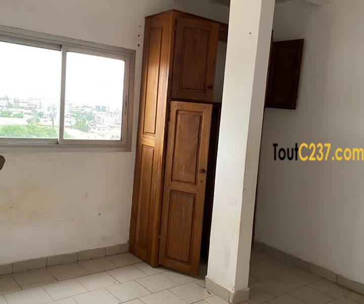 Appartement à louer à Kotto Douala