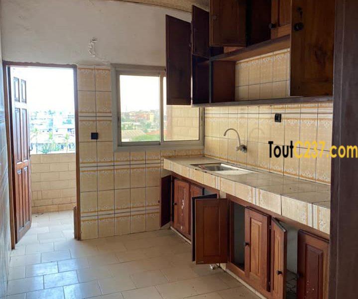 Appartement à louer à Kotto Douala