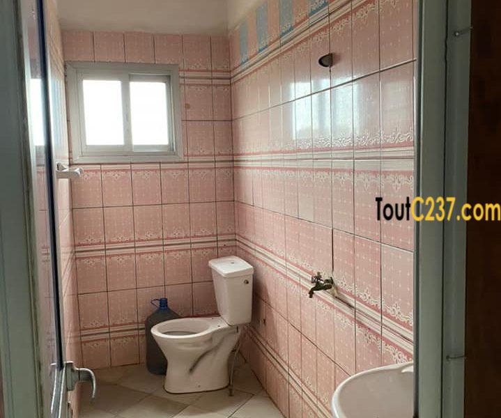 Appartement à louer à Kotto Douala