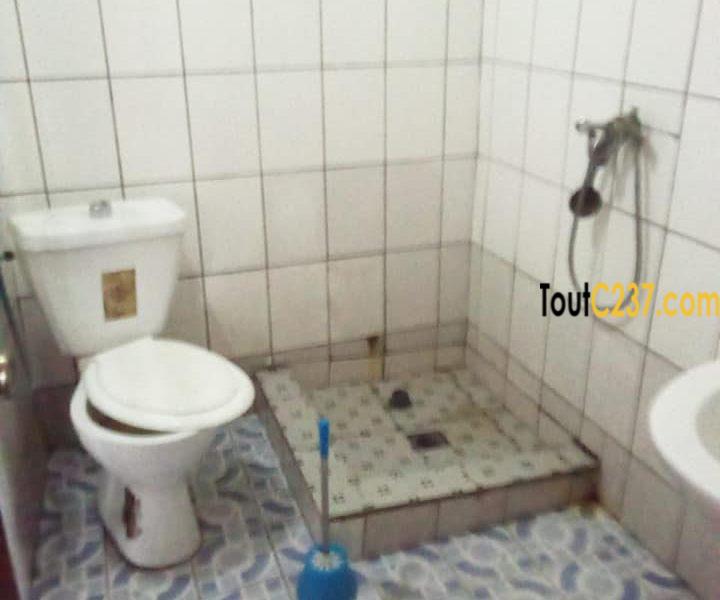 Appartement à louer à Kotto Douala