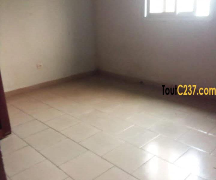 Appartement à louer à Kotto Douala