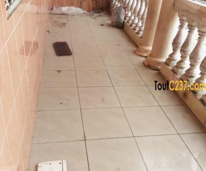 Appartement à louer à Kotto Douala