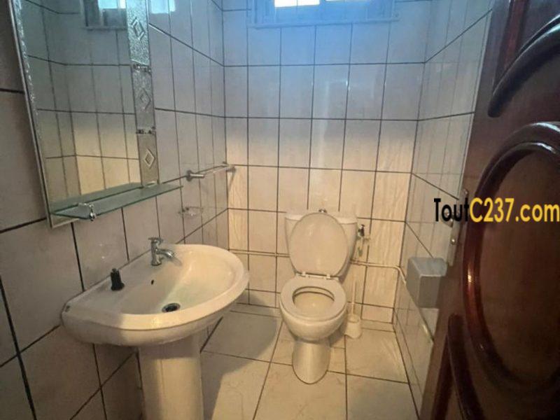 Appartement à louer à Bonapriso Douala