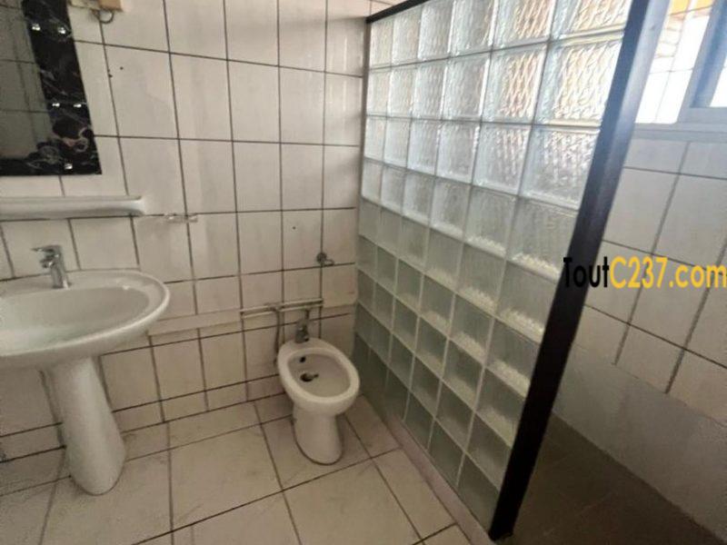 Appartement à louer à Bonapriso Douala