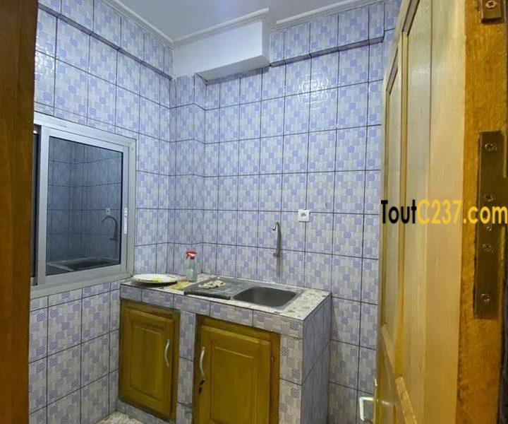 Appartement neuf à louer à Makepe