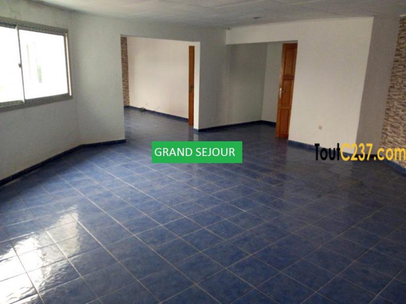 Appartement à louer à Bonapriso Douala