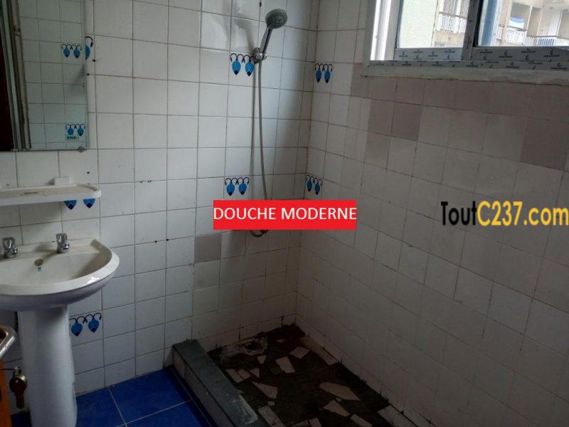 Appartement à louer à Bonapriso Douala