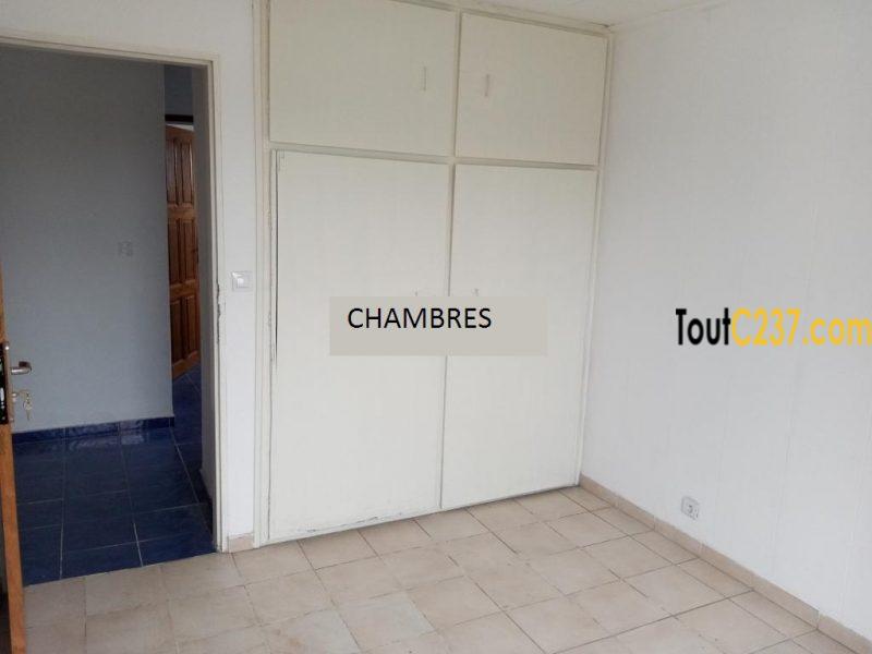 Appartement à louer à Bonapriso Douala