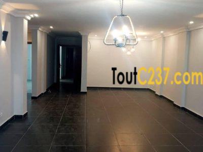 Spécials Appartements à louer à Bonamoussadi