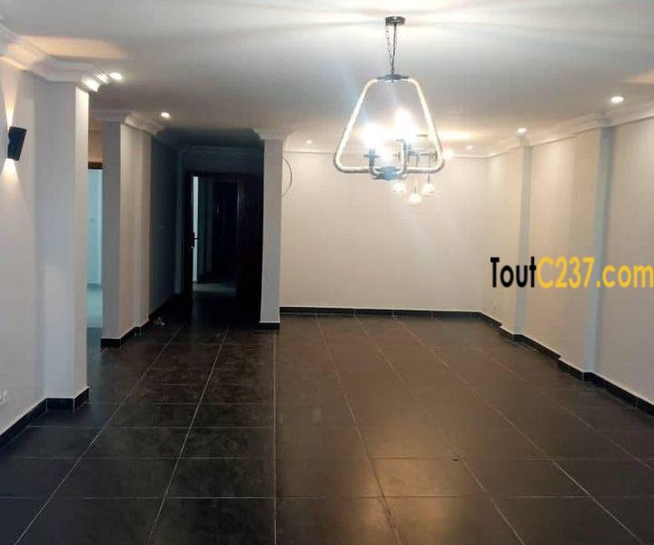 Spécials Appartements à louer à Bonamoussadi