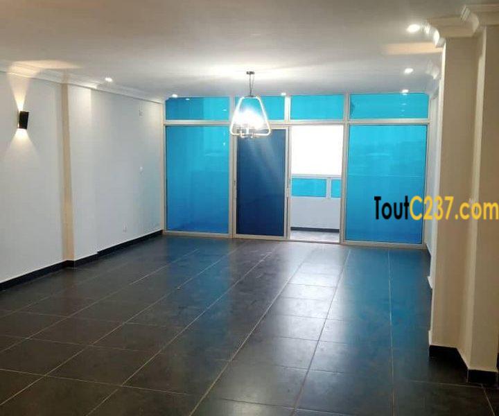 Spécials Appartements à louer à Bonamoussadi