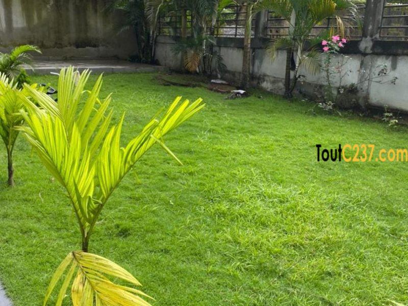 Somptueux Duplex à louer à Logbessou