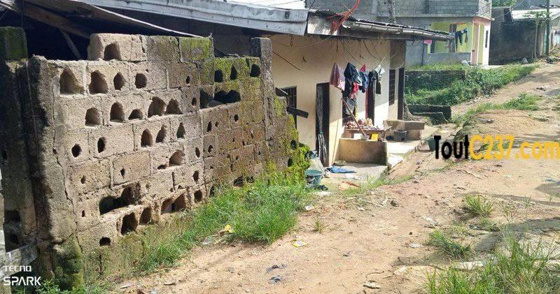 Maison à vendre à Ndogpassi Douala