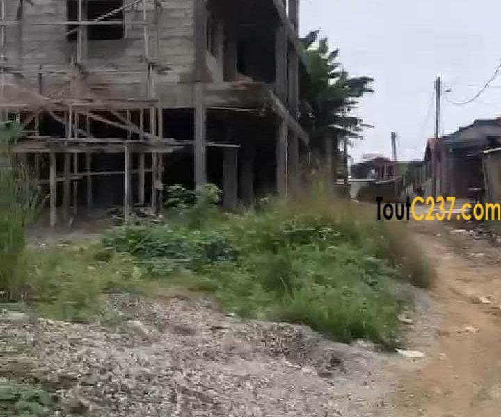 Terrain à vendre à Kotto Douala