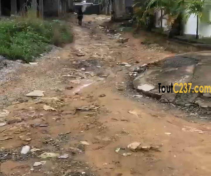 Terrain à vendre à Kotto Douala