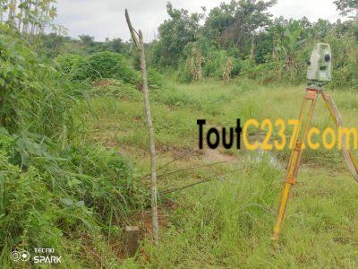 Terrain à vendre à Lendi Douala