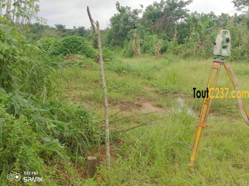 Terrain à vendre à Lendi Douala