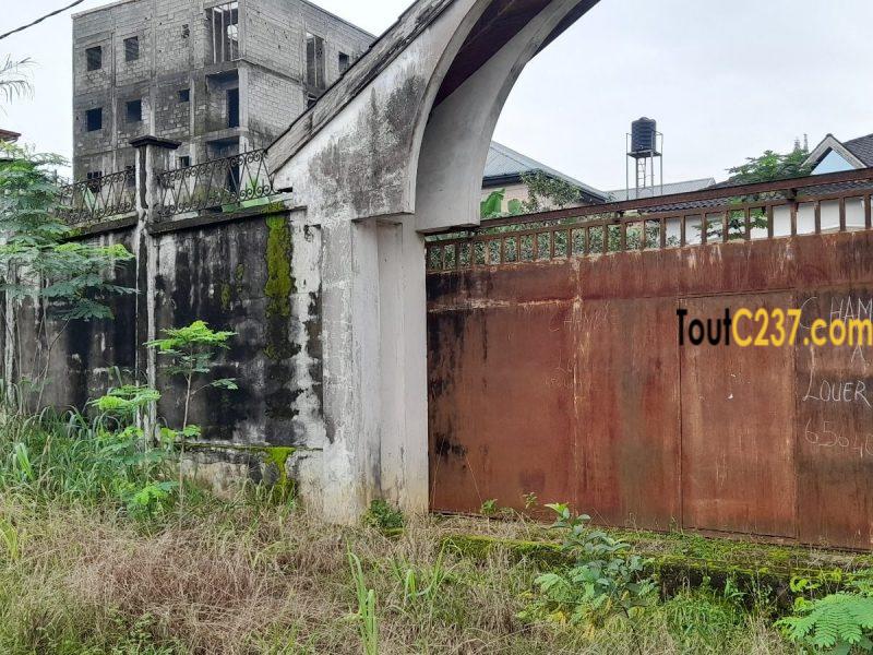 Terrain à vendre à Logpom Douala