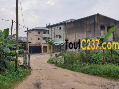 Terrain à vendre à Logpom Douala