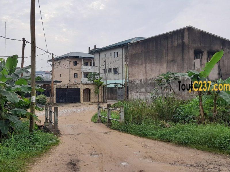 Terrain à vendre à Logpom Douala