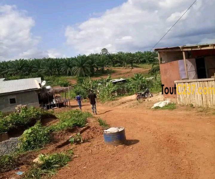 Terrain morcelable à vendre à Pk19 Douala