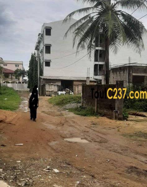 Terrain à vendre à Bonamoussadi, Douala