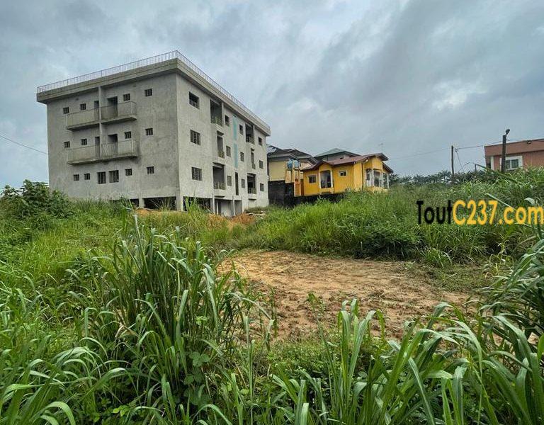 Terrain à vendre à Yassa cite chirac Douala