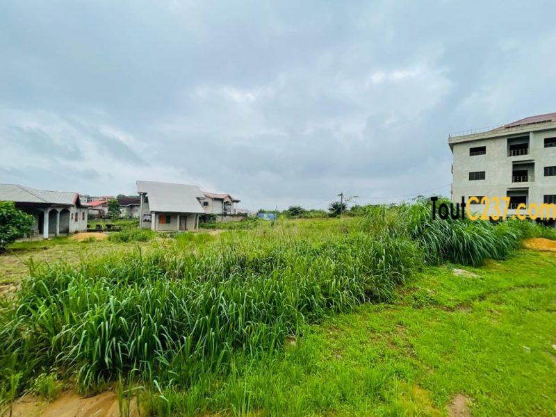 Terrain à vendre à Yassa cite chirac Douala
