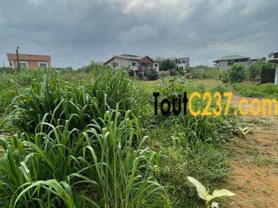 Terrain à vendre à Yassa cite chirac Douala